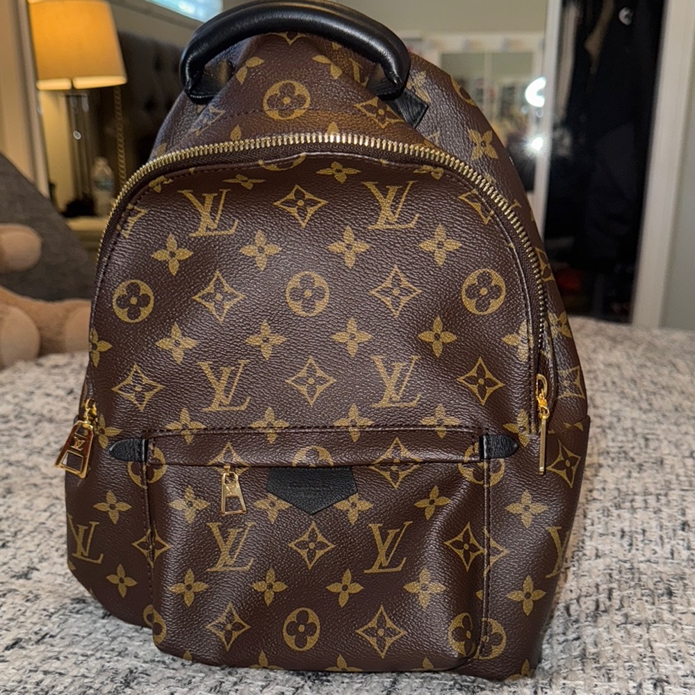 Louis Vuitton Brown PM Palm Springs Backpack Monogram